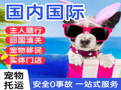 玉龙航空运输国际宠物托运 【国